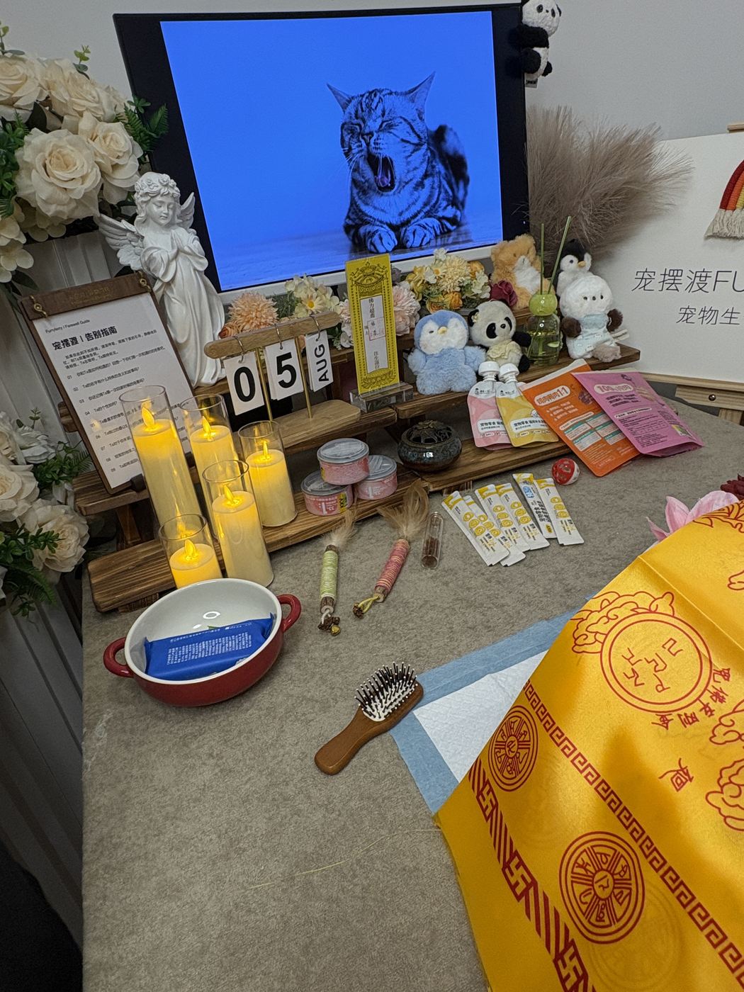 宠物的纪念照片